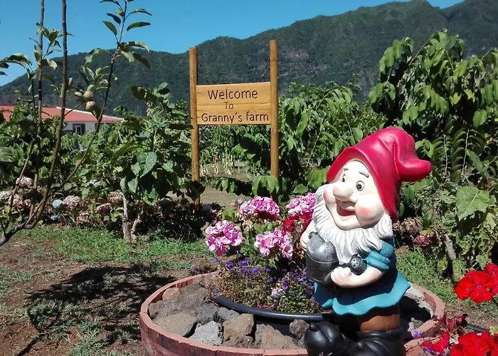 Granny\'S Farm